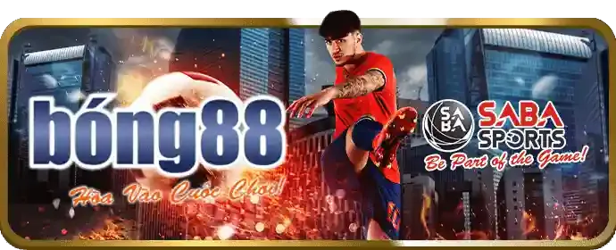 Bản đồ vị trí văn phòng shbett