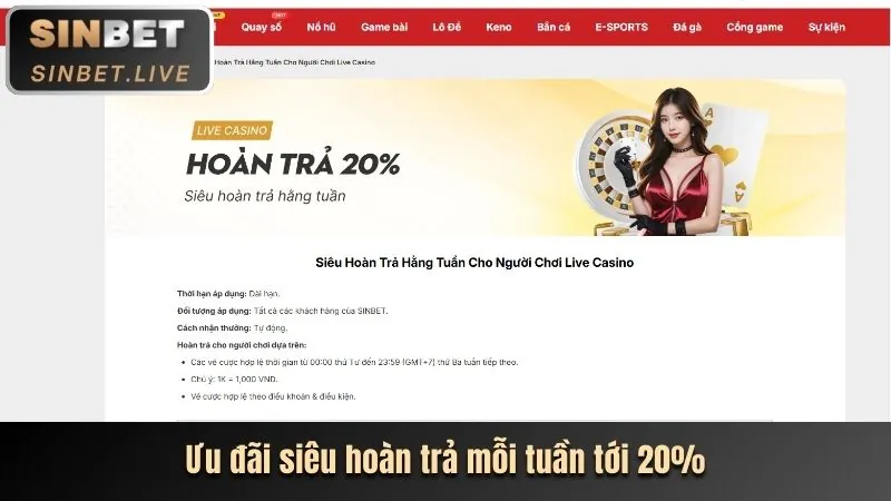 Cấp Độ VIP Đồng shbett